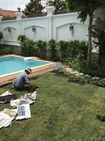 CHĂM SÓC CÂY CẢNH CHO BIỆT THỰ SÂN VƯỜN